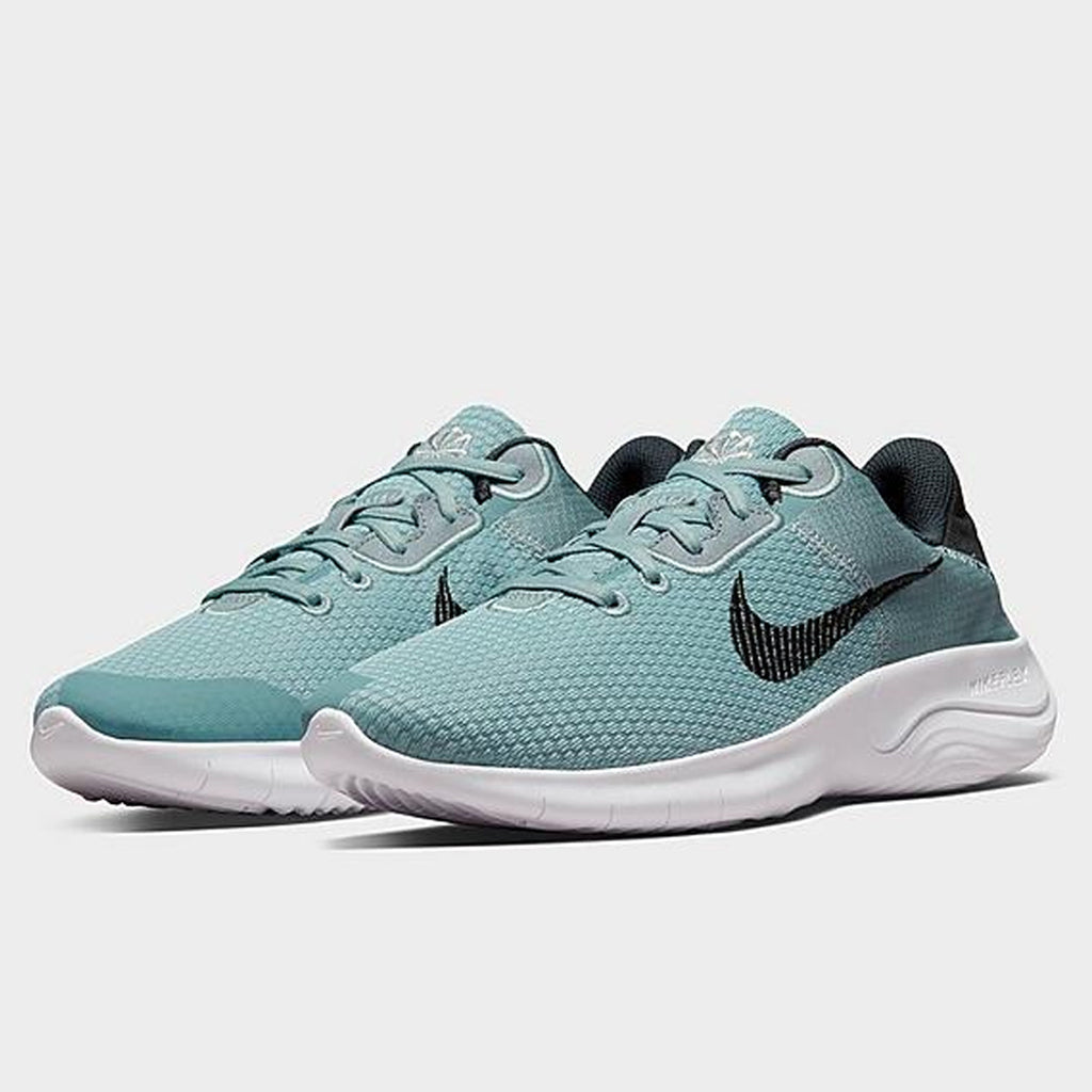 NIKE FLEX EXPERIENCE RUN 11 - DD9284-007