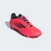 Guayos F50 Club ie0614