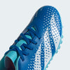 ADIDAS TORRETIN PREDATOR ACCURACY.4 - GY9996