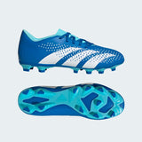 ADIDAS GUAYOS PREDATOR ACCURACY.4 - GZ0010