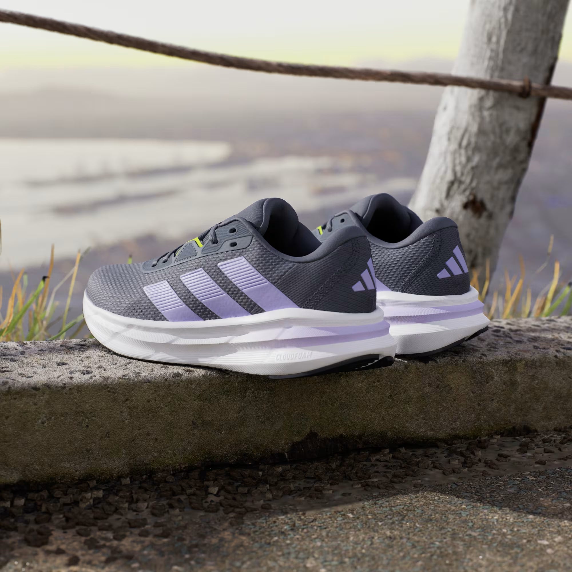 Adidas Galaxy 7 Running JP6591
